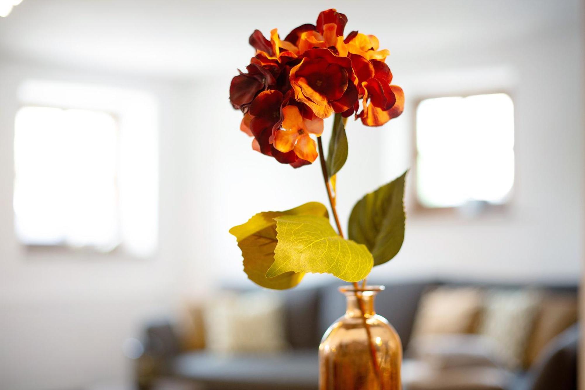 Felicitas Apartment Tann  ภายนอก รูปภาพ